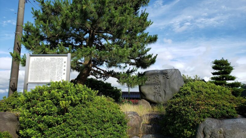 蓮沼城（富山県小矢部市）の歴史と見どころ