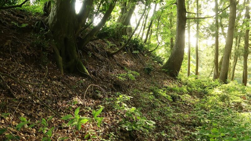 西勝寺城（富山県南砺市）の歴史と遺構
