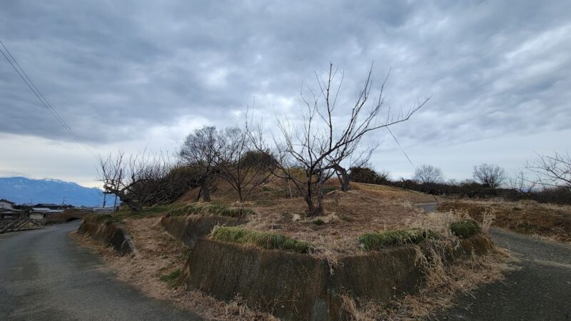 勝山城(甲府市)