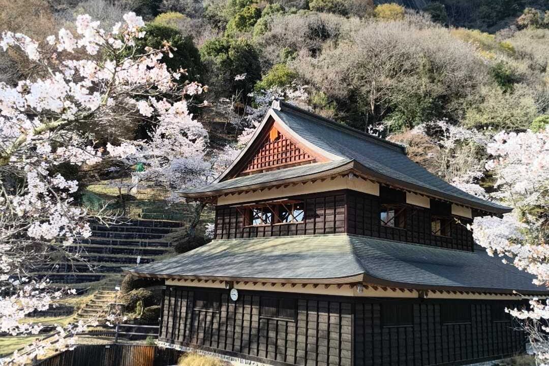 花咲城(大月市・山梨県)の歴史と見どころ