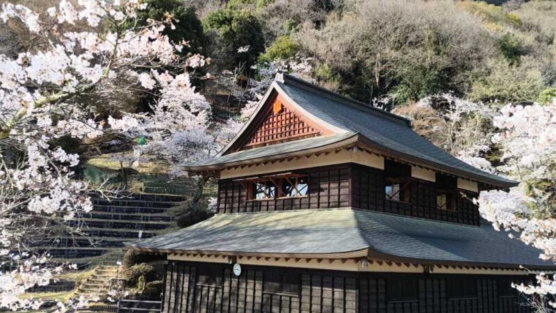 花咲城(大月市・山梨県)の歴史と見どころ