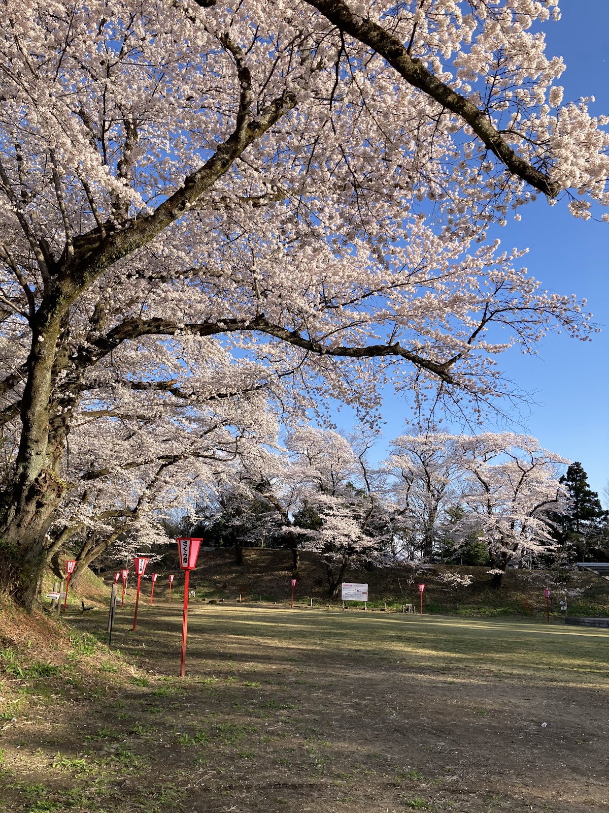大田原城（栃木県）