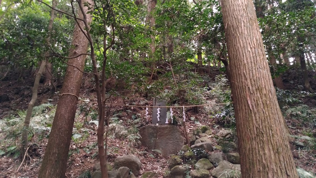 鷹留城（群馬県）