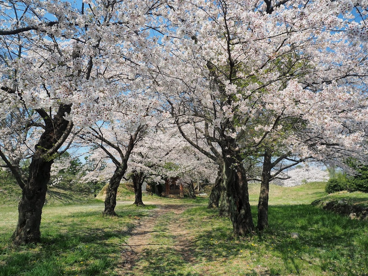大胡城（群馬県）