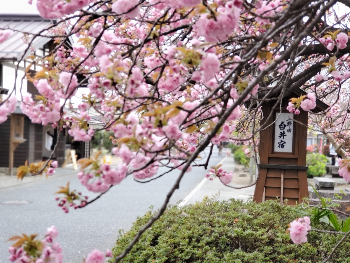 白井城（群馬県渋川市）