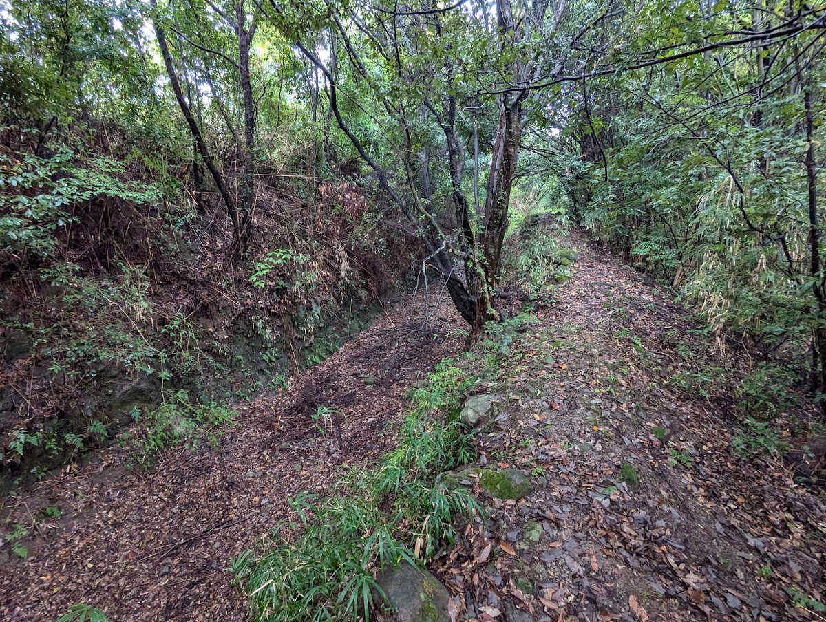 光岡城（大分県宇佐市）