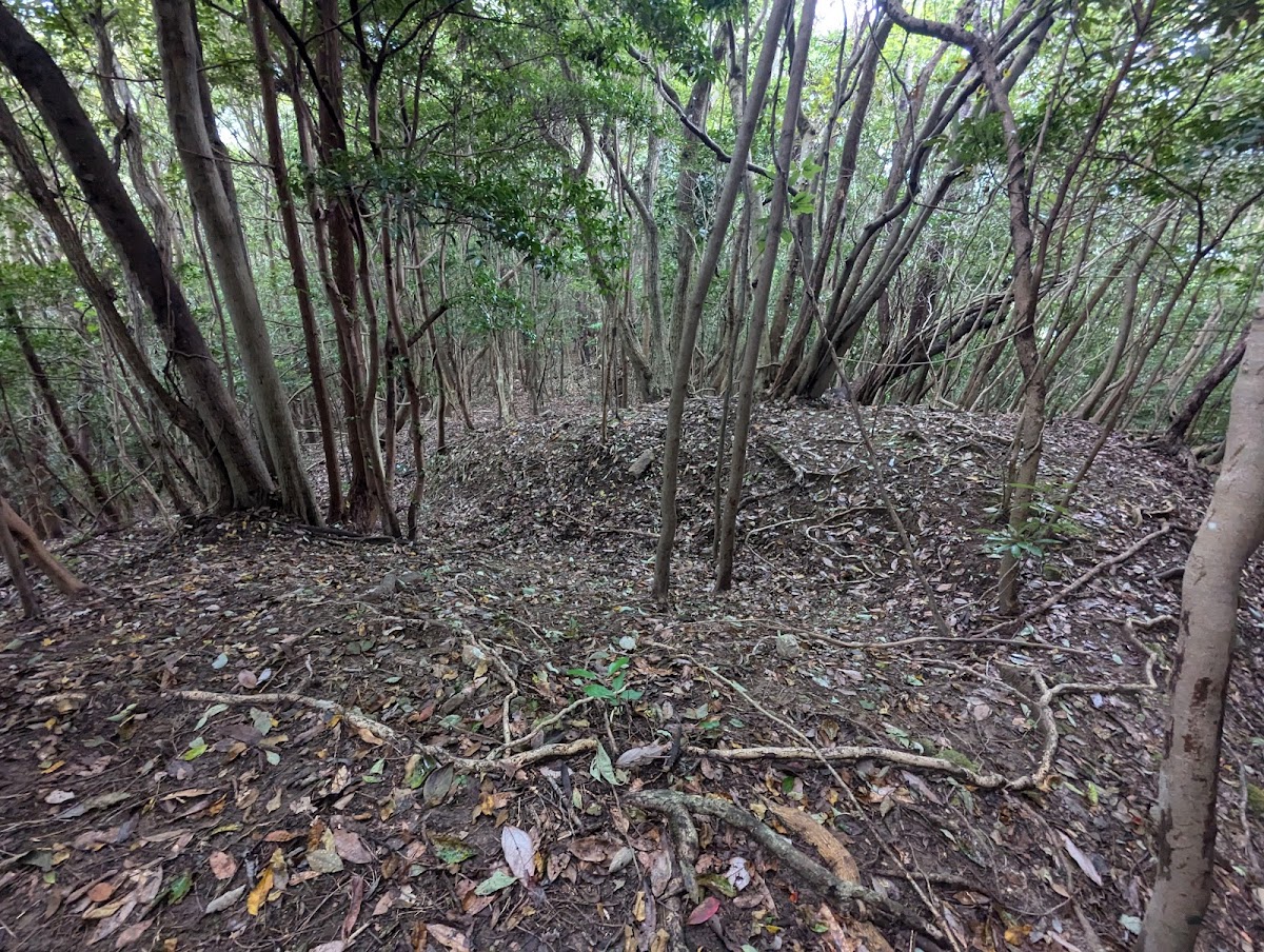 佐田城（大分県）の歴史と見どころ