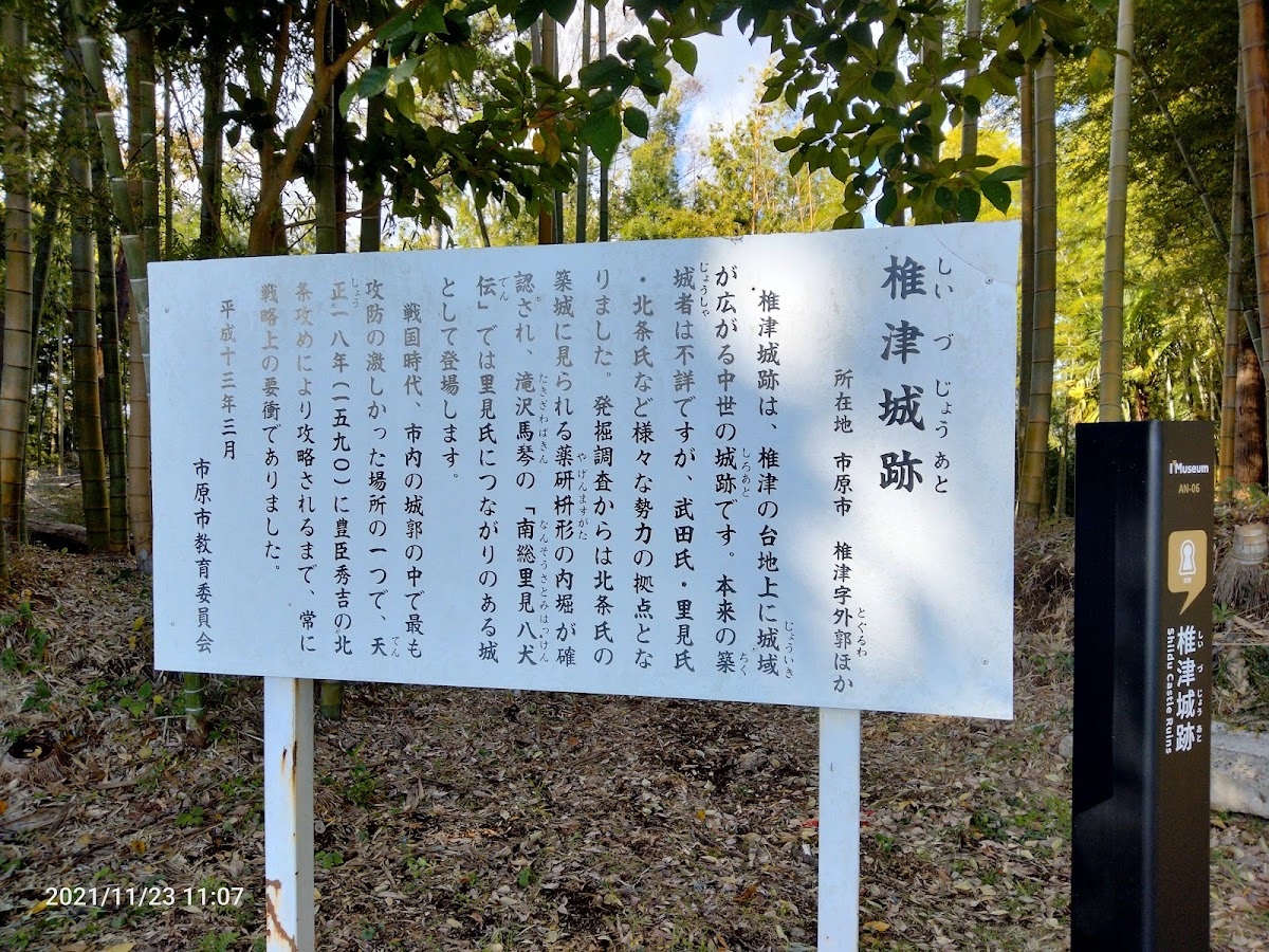 椎津城（千葉県市原市）の歴史と見所を