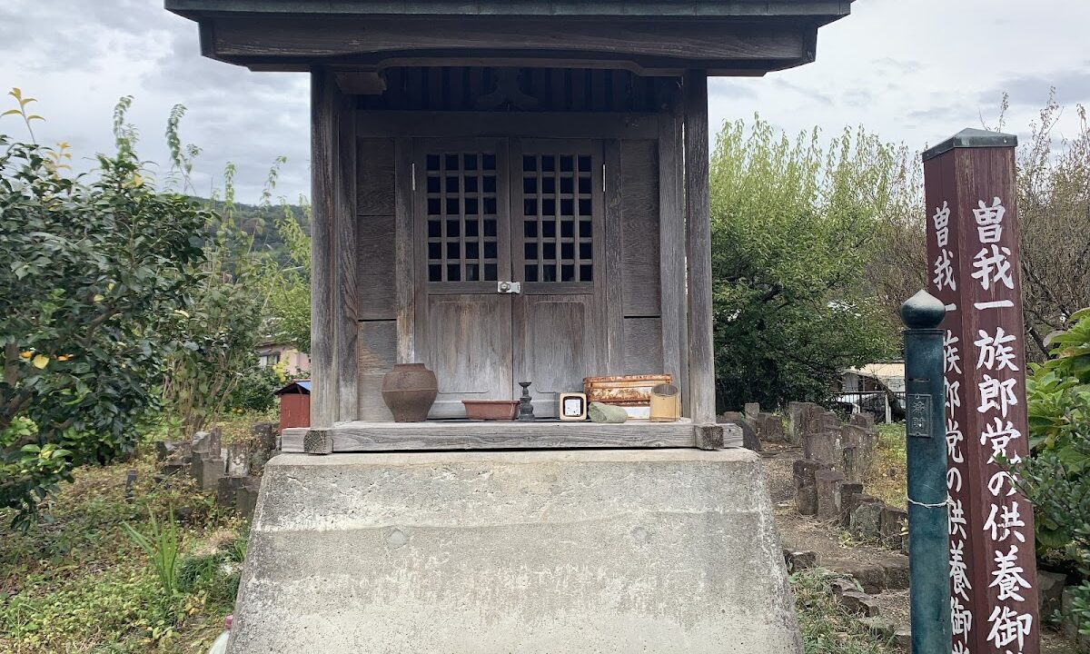 苏我城（神奈川县）