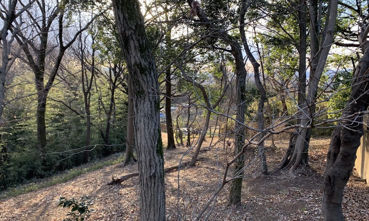 黑川丸山城（神奈川县川崎市）