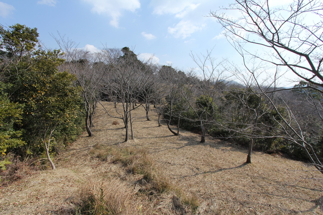 手取城（和歌山県）