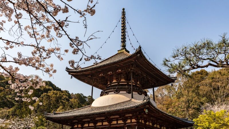 根来城（和歌山県）
