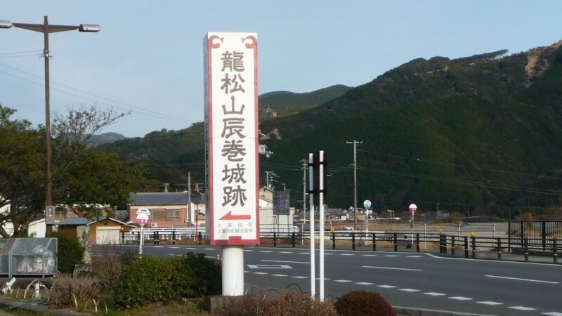 龍松山城（和歌山県）