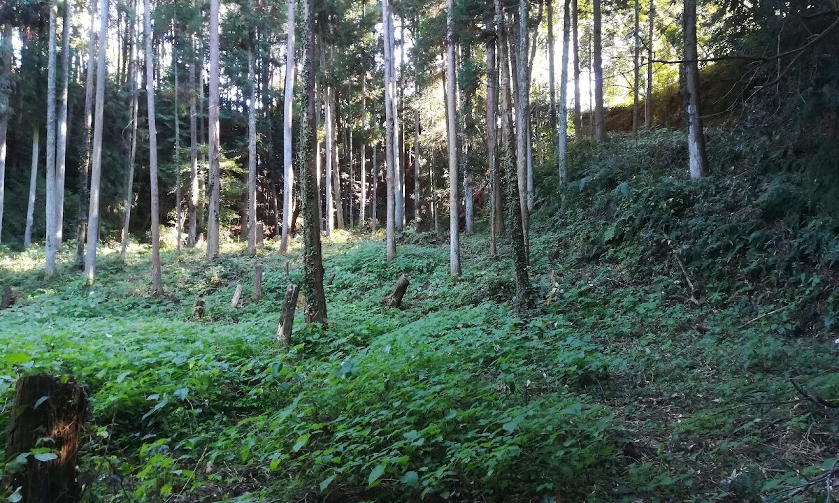 Saruoka Castle (Wakayama Prefecture)