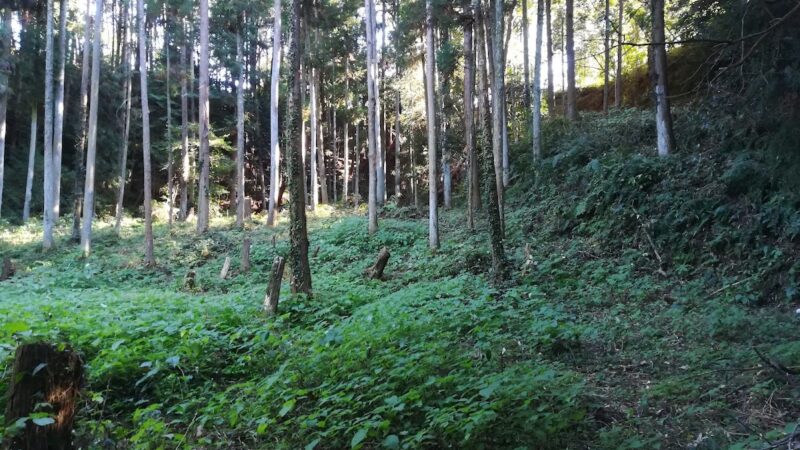 猿岡城（和歌山県）