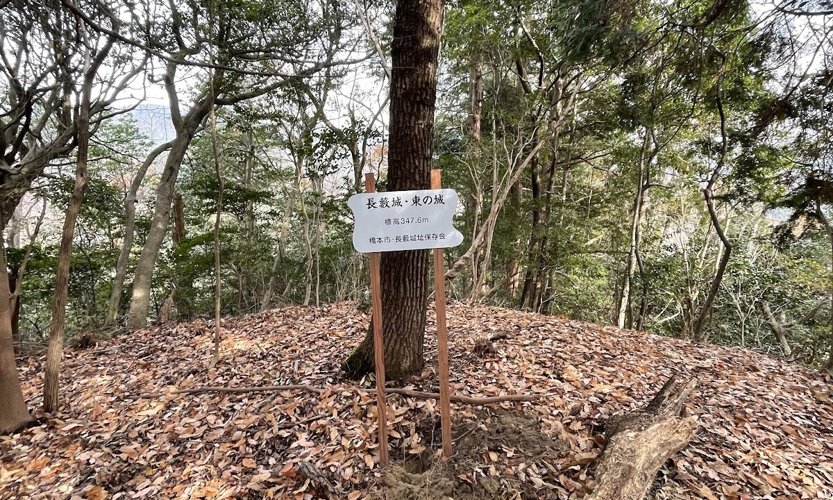 Nagayabu Castle (Wakayama Prefecture)