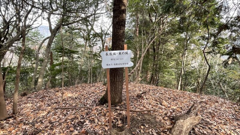 長藪城（和歌山県）
