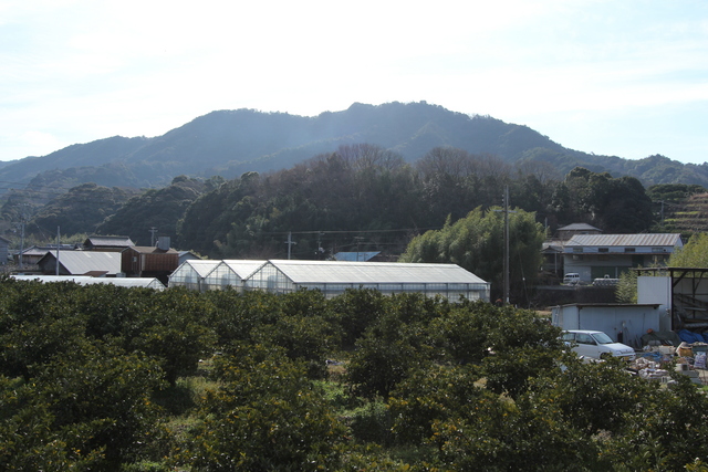 鳥屋城（和歌山県）