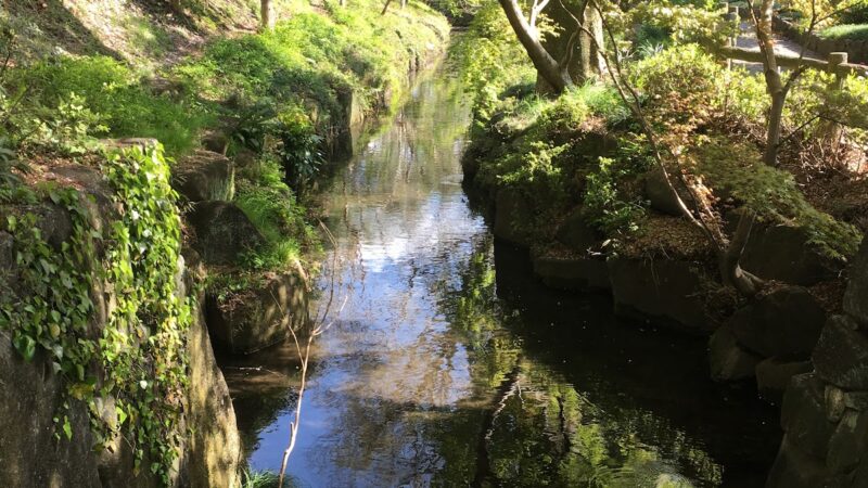 上三川城（栃木県）