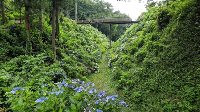 黒羽城（栃木県）