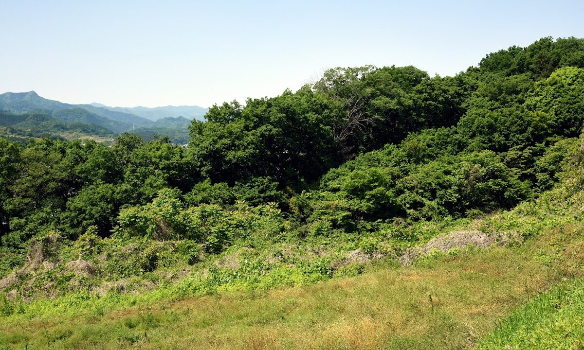 宮崎城（群馬県富岡市）