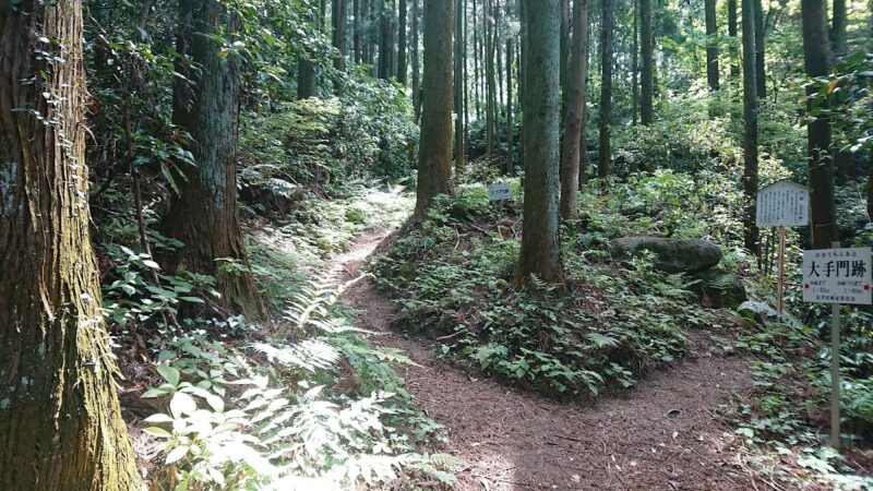 松井田城（群馬県）