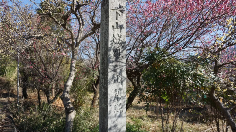 下山城（山梨県身延町）