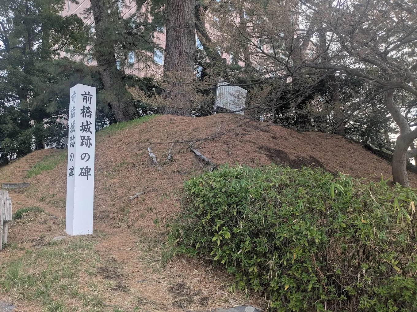 前桥城（群马县）