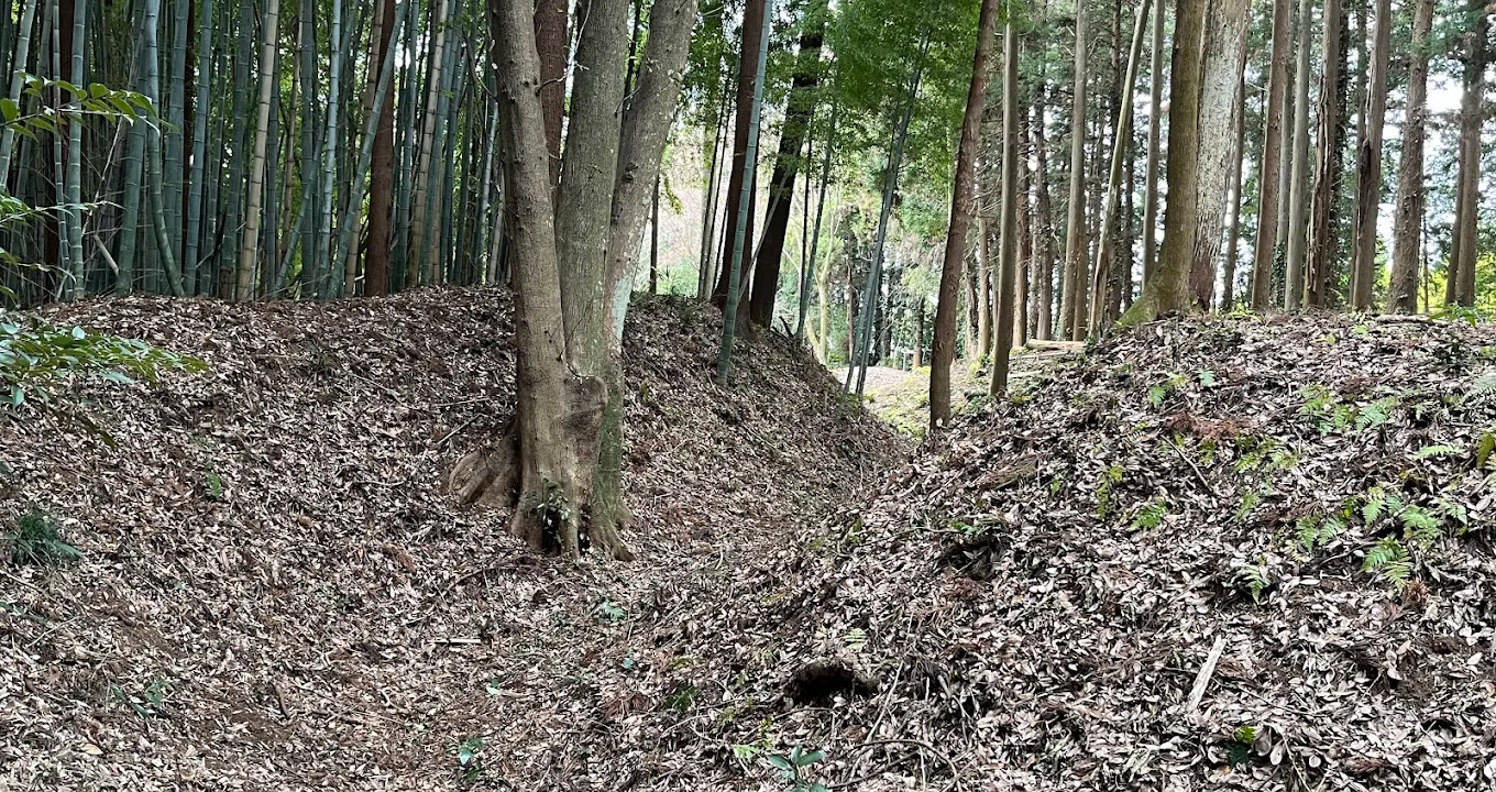Hanawa Castle (Ibaraki Prefecture)