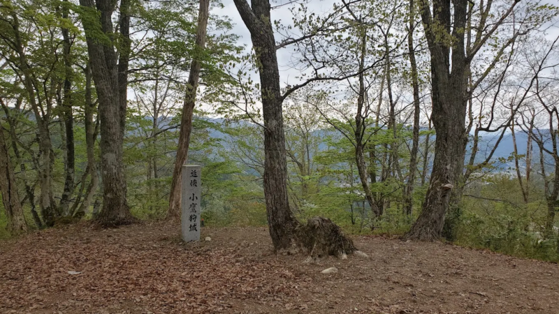 小鷹利城跡（岐阜県）
