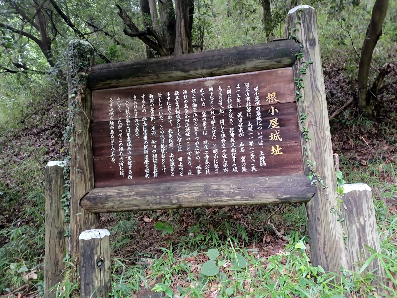 根小屋城（群馬県高崎市）