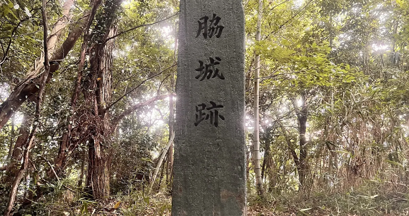 脇城 美馬市（徳島県）