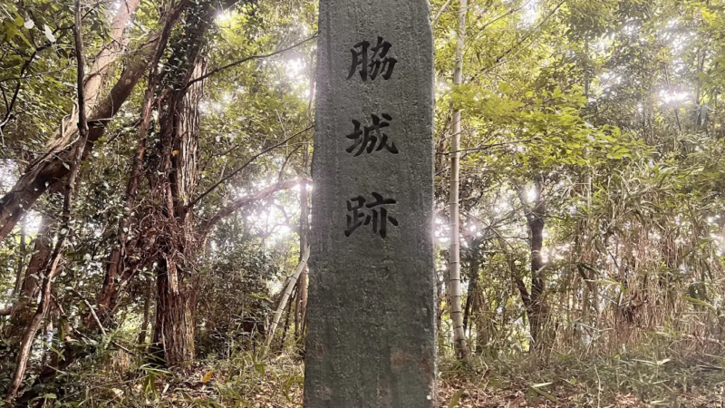 脇城 美馬市（徳島県）