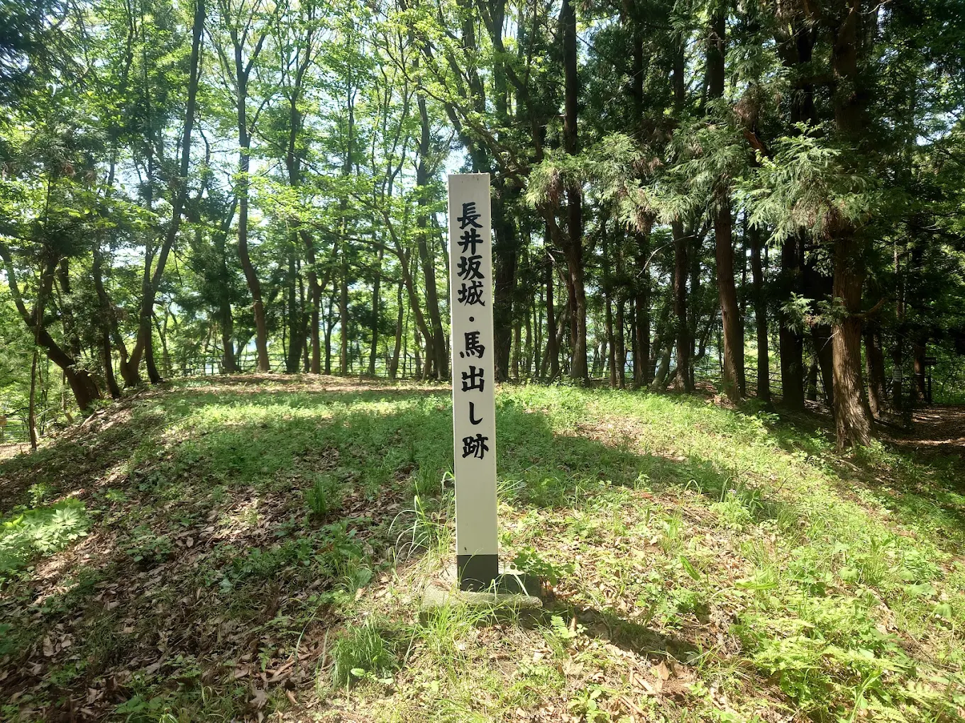 長井坂城（群馬県）