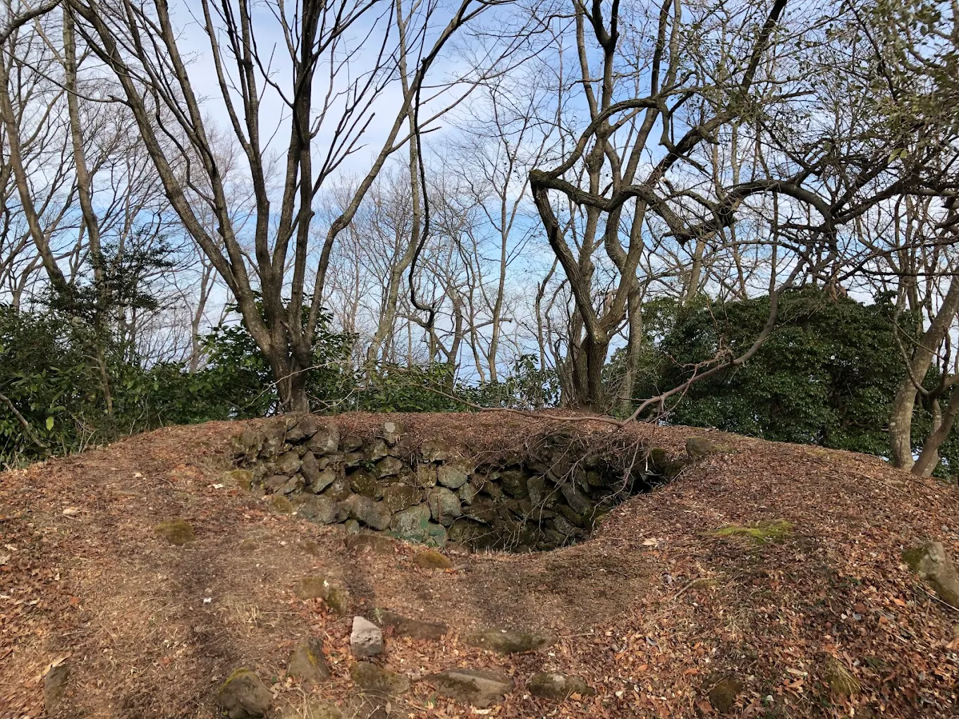 高崎山城（大分県）