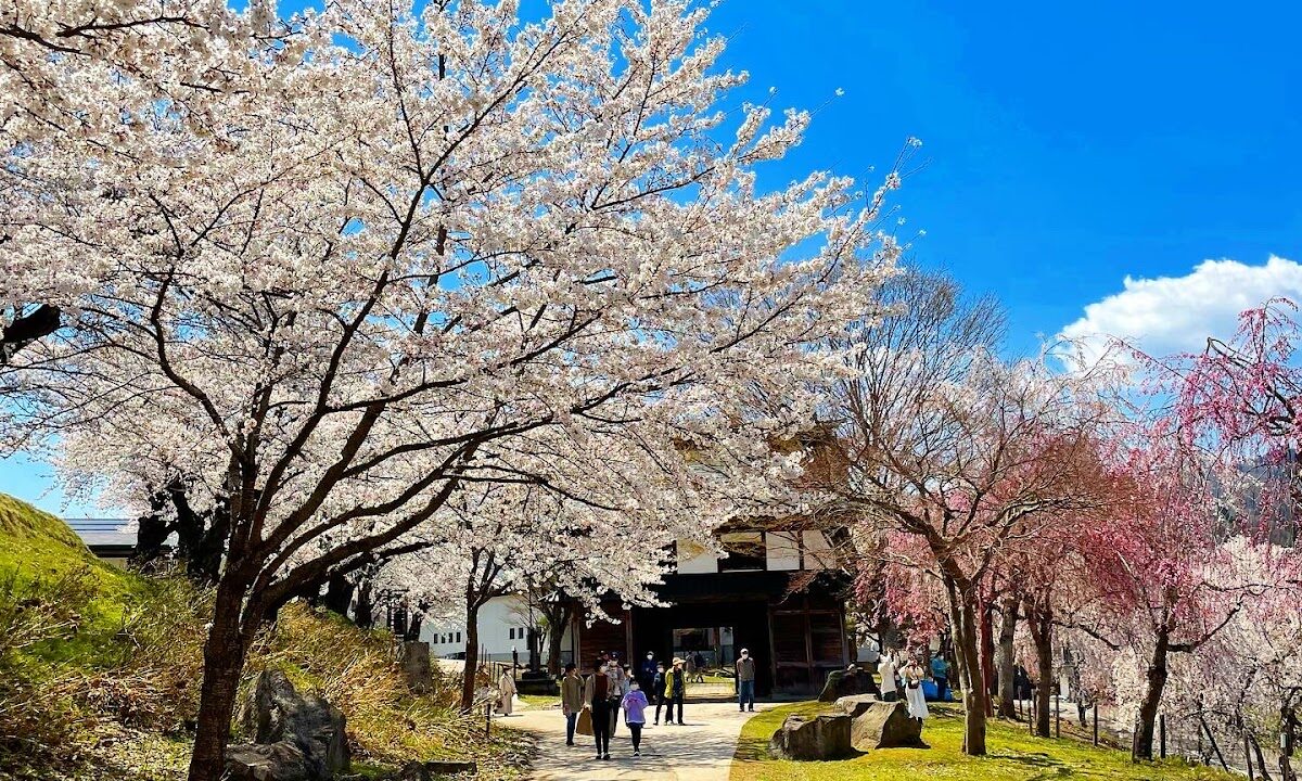 이이야마성(나가노현 이이야마시)