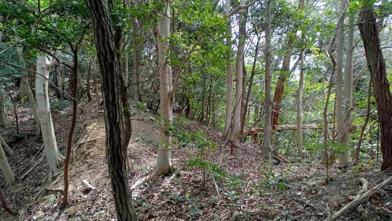勝山城(鳥取市気高町)の歴史と見所