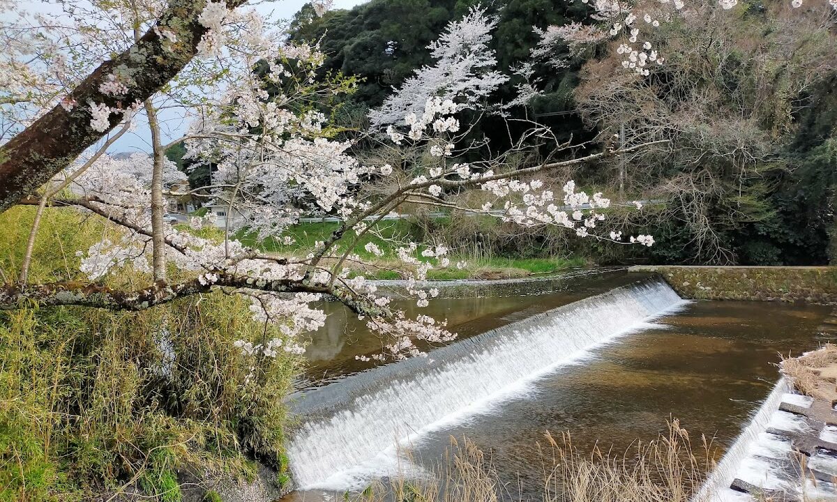 法胜寺城的历史和看点（鸟取县西伯郡南部町）