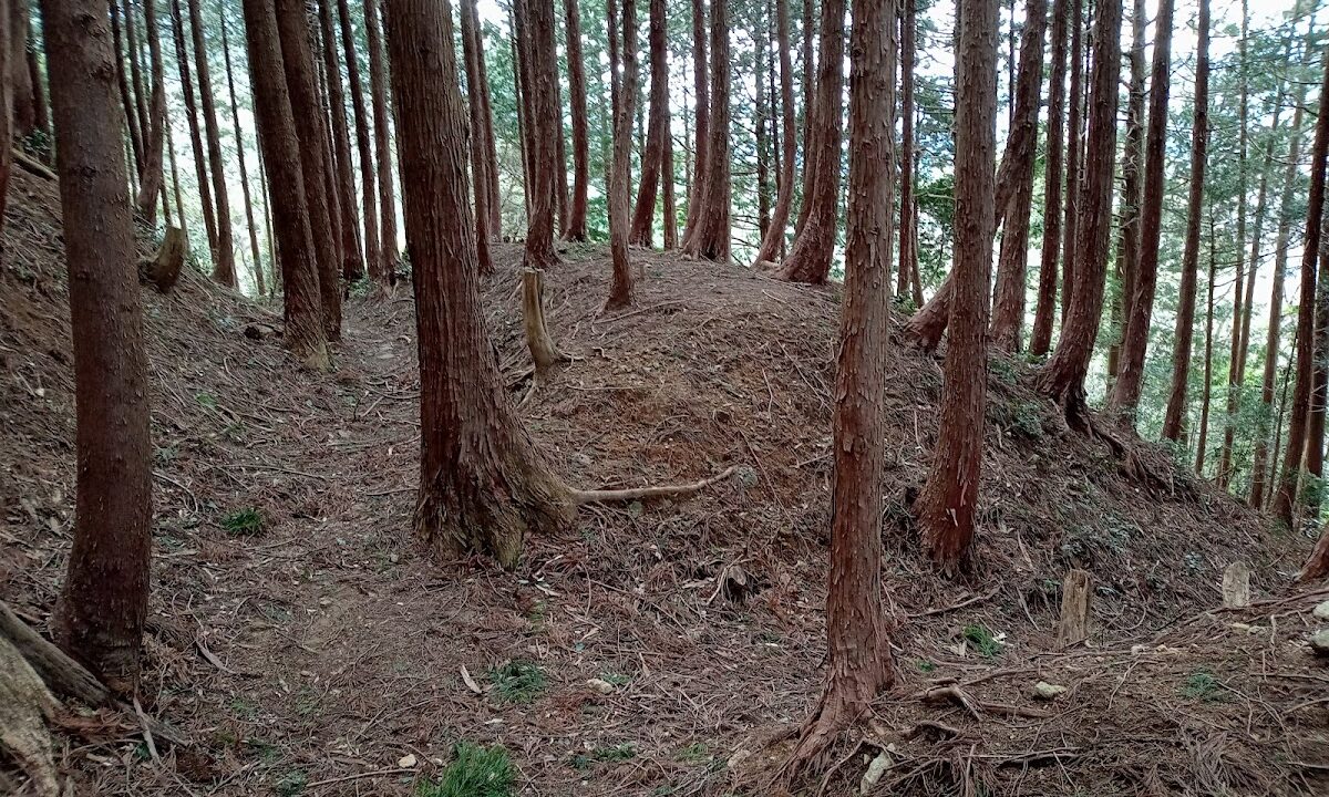 狗尸那城(鳥取市)