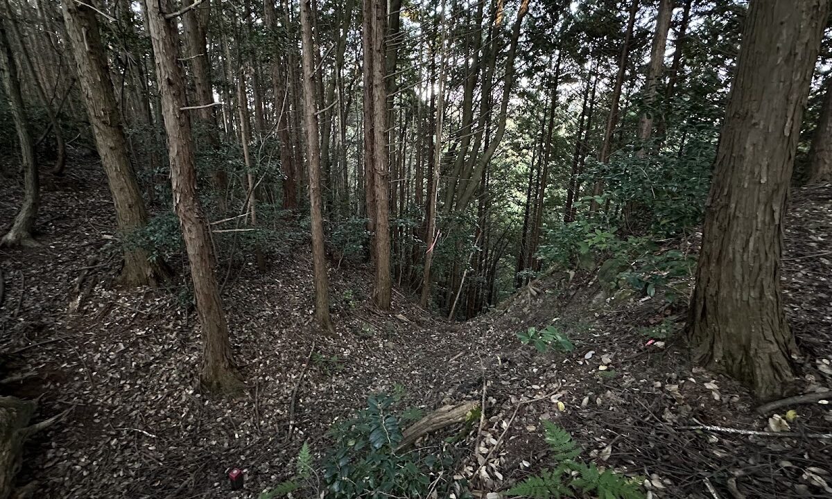 妙見山城(鳥取県東伯郡)