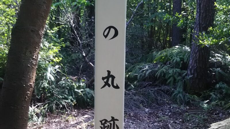 不言城(物不言城)