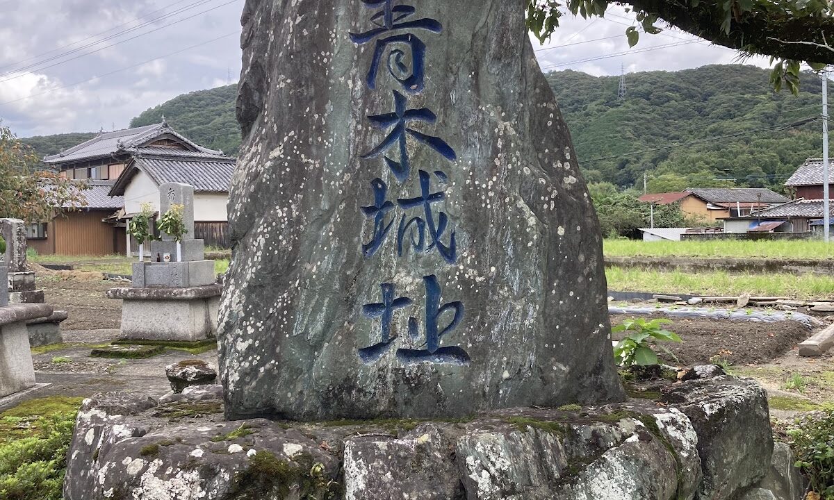 青木城(徳島県吉野川市)