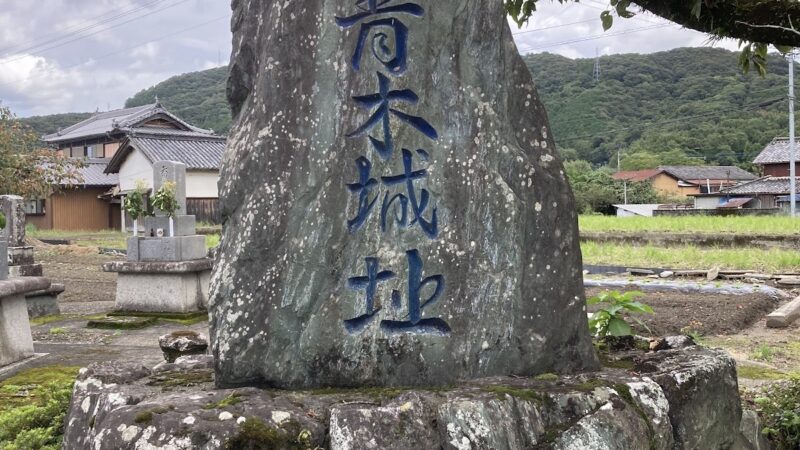 青木城(徳島県吉野川市)