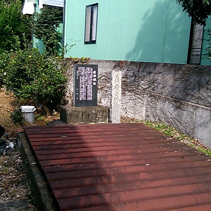 原田城（德岛县阿波市）