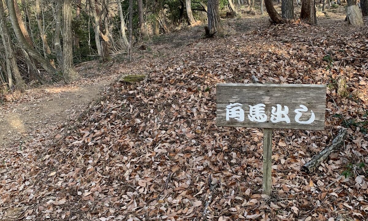 Tagamiyama Castle (Nagahama City, Shiga Prefecture)