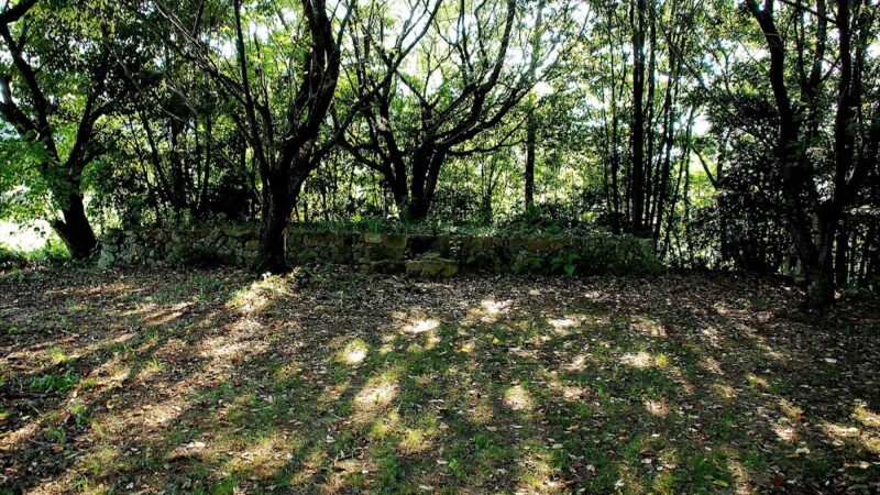 藤目城(観音寺市・香川県)