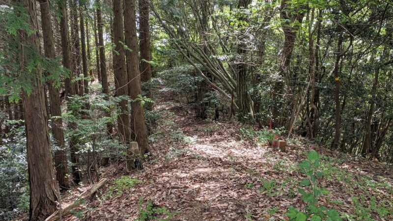 造田城(香川県仲多度郡)