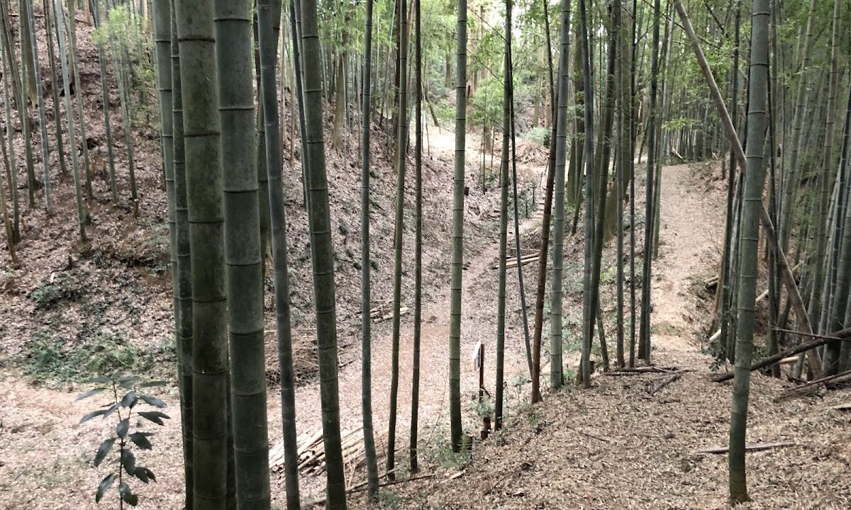 Obata Castle (Ibaraki Town, Ibaraki Prefecture)