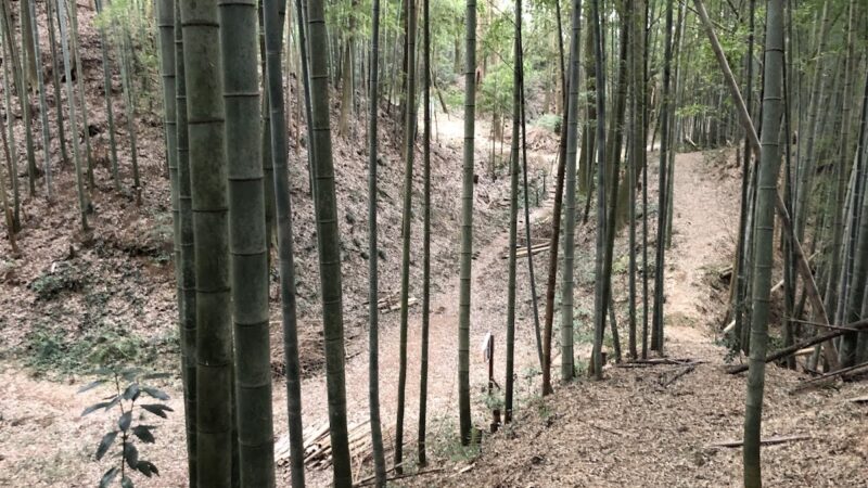 小幡城(茨城町・茨城県)