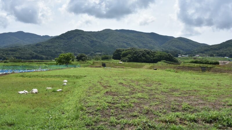 真壁城跡